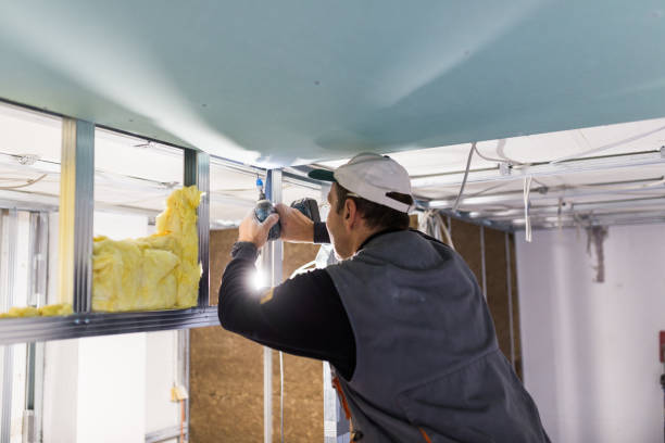 Best Types of Insulation in Briar, TX